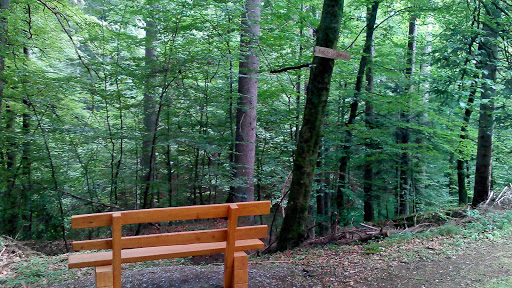 Rastpunkt Sandbruchweg