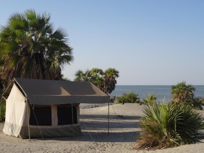 Photos of Eliye Springs Resort - Lake Turkana
