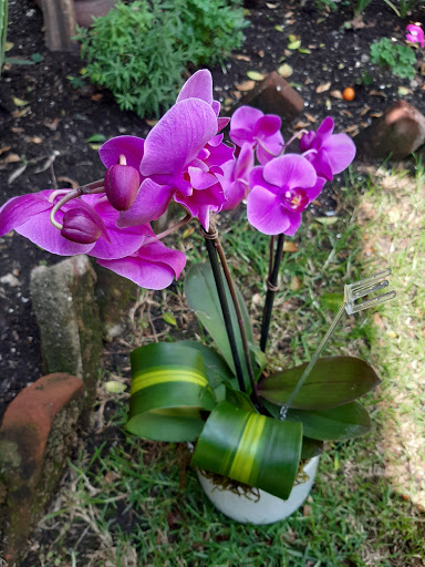 Florería Centro de Ambientación Floral