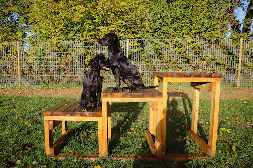 Paw Paddock - Moundsmere Gallery - United Kingdom