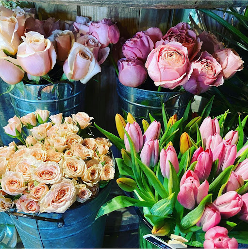 Only Prettier Design Gallery - United States