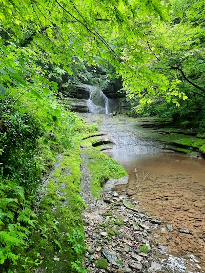 Boone Creek Outdoors