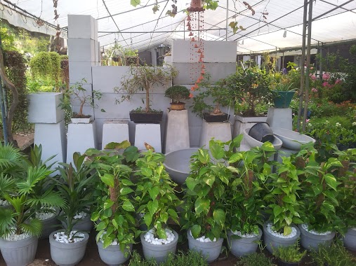 Polwatta Plant Nursery, Author: Polwatta Plant Nursery