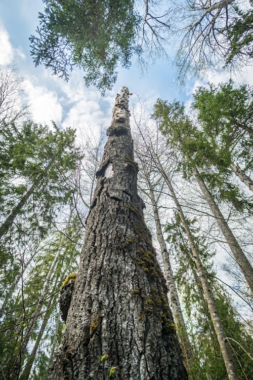 Kuuraniidu õpperada