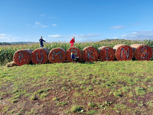 Pumpkin Pete's - Thumbnail