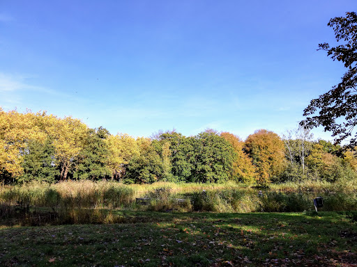 Landgoed Backershagen - Thumbnail