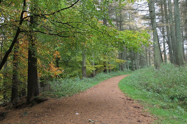 Cruagh Wood, Car Park
