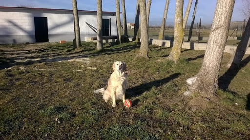 Hotel para perros Mascocamping Residencia Canina