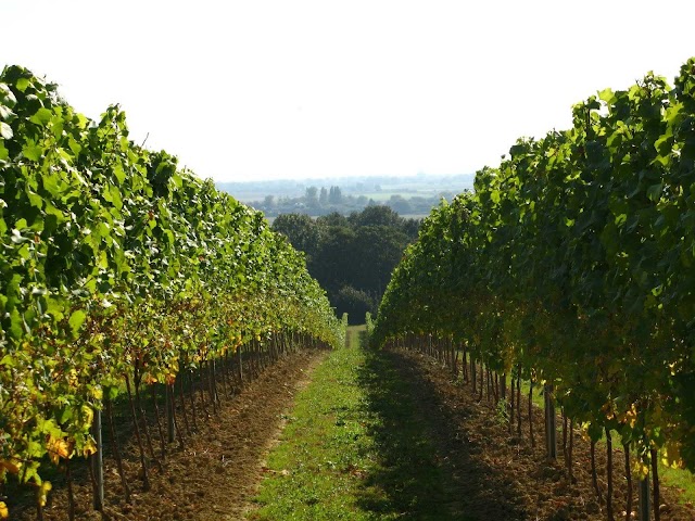 Gusbourne Estate