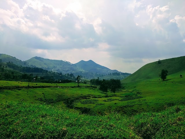 Parc National des Virunga