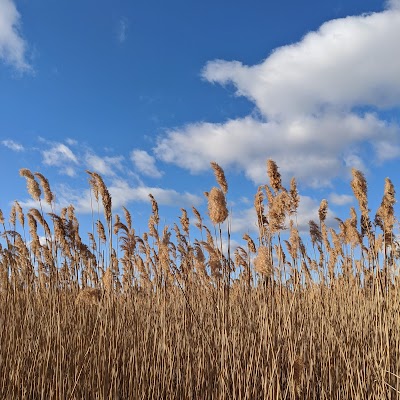 Claire D. McIntosh Wildlife Refuge