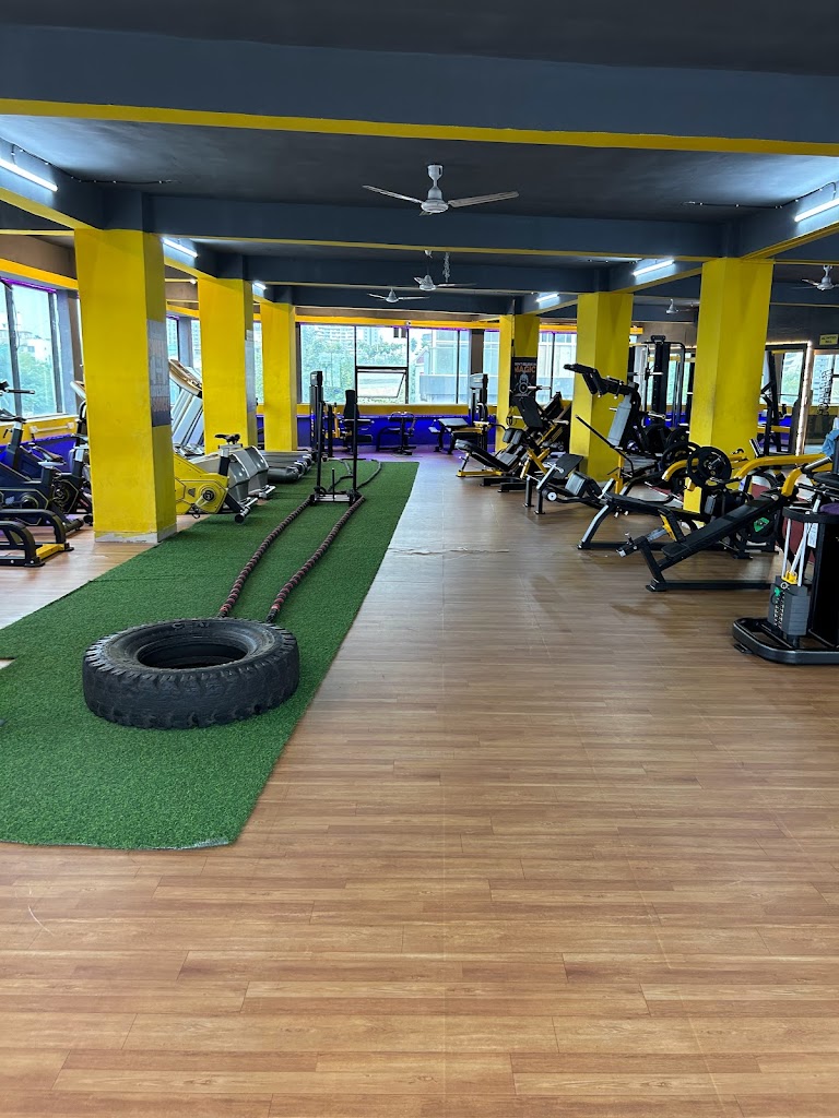 Vj Fitness Gym