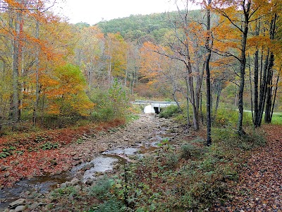 Photos of Cass Scenic Railroad State Park