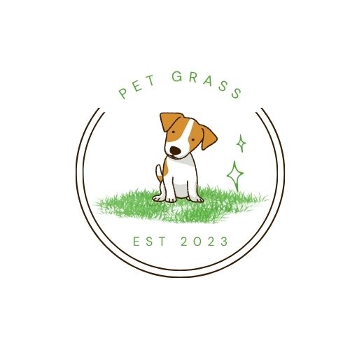 Pet Grass - Visual