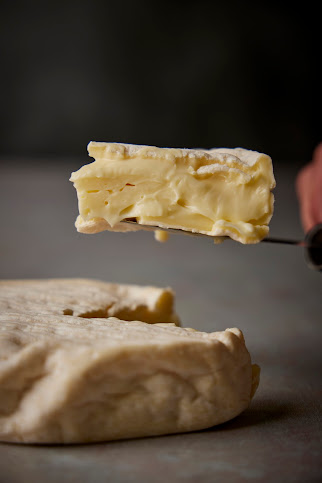 C. Hesse Cheese by null