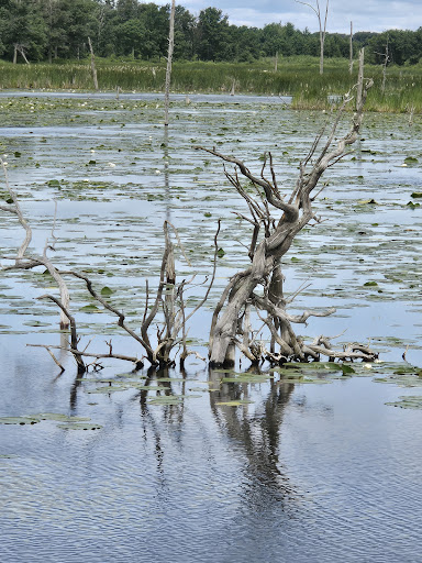 Bur Oak Welcome Station Gallery - United States