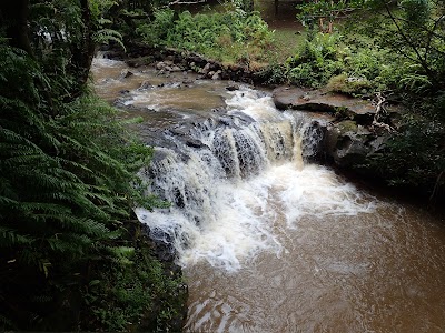 Photos of La Vanille Nature Park