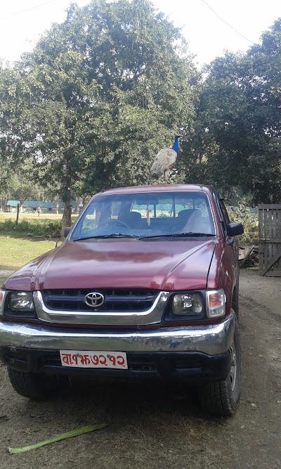 Photos of Chitwan National Park Headquarter, Kasara, Chitwan