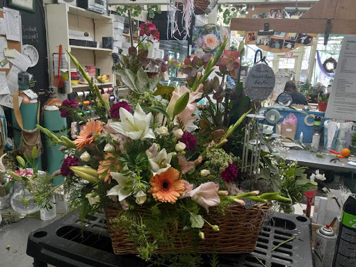 Sinicropi Florist Gallery - United States