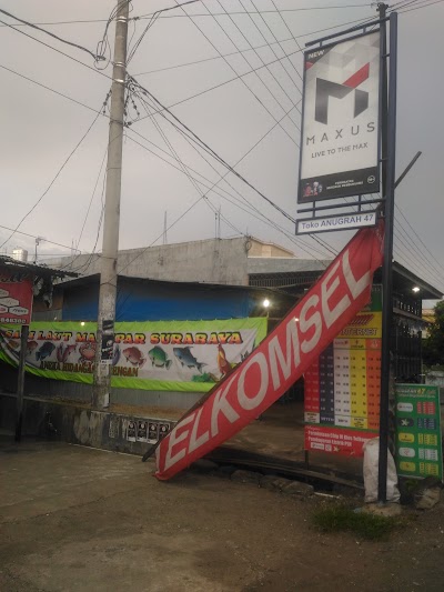Photos of Anugrah Cell 47
