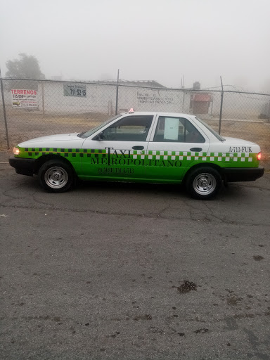 Radio Taxi Servicios Pachuca - Thumbnail