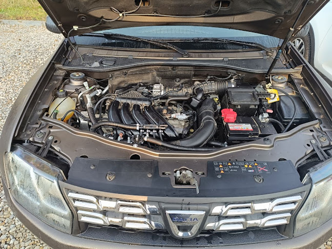 Auto gaz LPG Ostrów - diagnostyka komputerowa STAG LPG TECH LANDI RENZO OMEGAS ELPIGAZ BRC TARTARINI - Sędziszów Małopolski