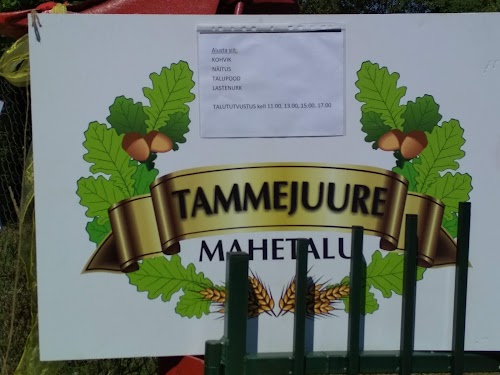 Tammejuure Mahetalu