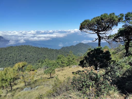 Comedor Comunitario Cascada de Niebla Centro ecoturistico - Thumbnail