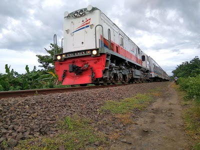 Photos of Catang