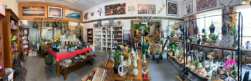 Catlins country store - Thumbnail