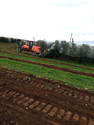 Photo n°6 de Tallet Et Fils à Sarlande (Entrepreneur spécialisé en aménagement aquatique)