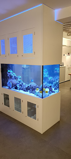 Tropic Aquarienservice Anlagenbau und Pflege für Süsswasser- und Meerwasseraquaristik - Thumbnail