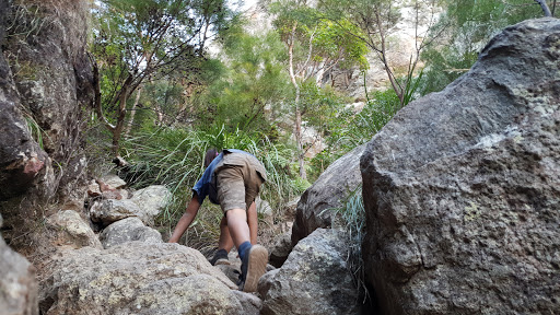 Cotswold Track - Mount Maroon Hike