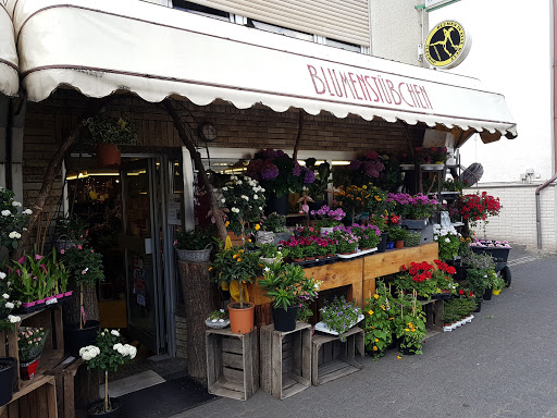 Das Blumenstübchen Heike Lang