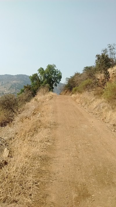 Photos of Ruta Lo Prado 01