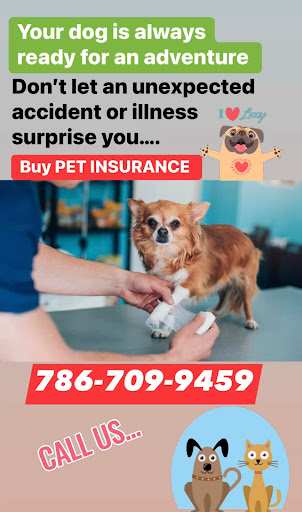 DG Insurance & Services