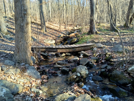 Spout Run - Visual