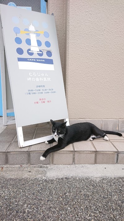 むらじゅん 岬の歯科医院