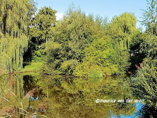 IKC De Wielen