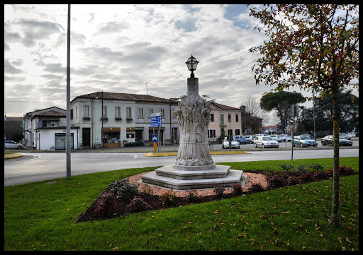 Comune di Cona - Visual