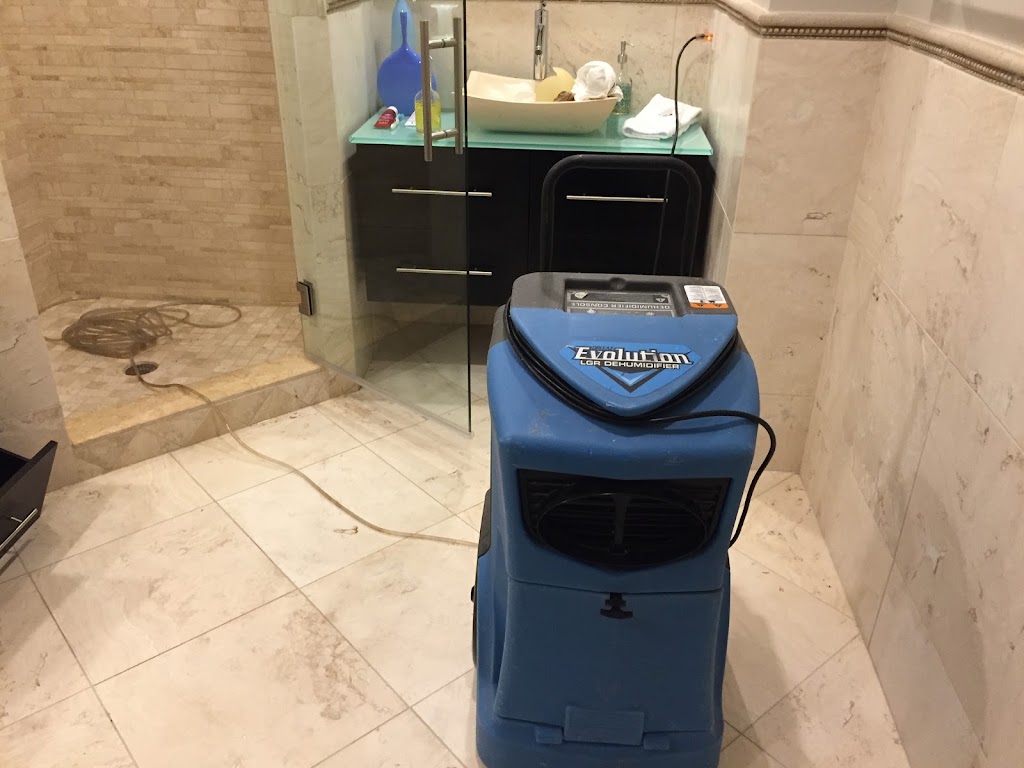 Discount Water and Mold Removal LLC photo