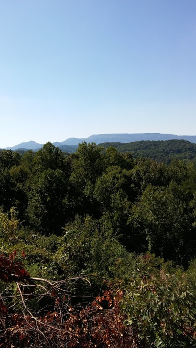 Mountain View Cabins