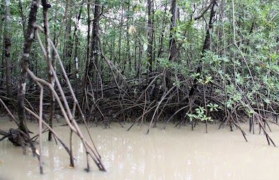 Photos of Isla Damas