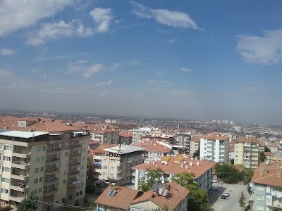 Photos of DERE OYUNSALONU