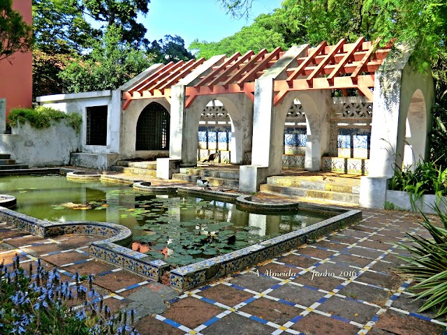 Jardim Botânico Tropical