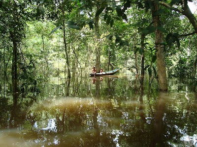 Photos of Amazon Explorers - Filial Manauara