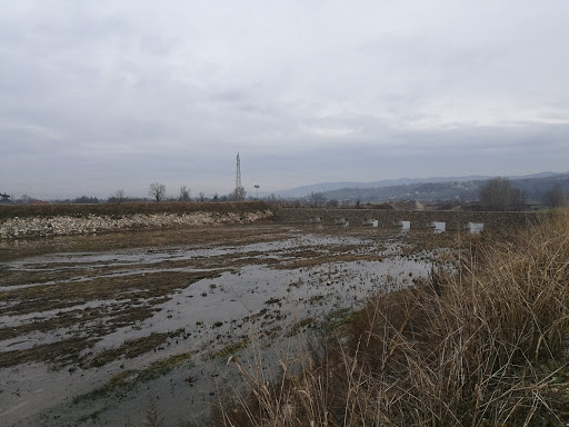 Cassa di espansione Fiume Guà