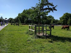 Midsummer Common cambridge