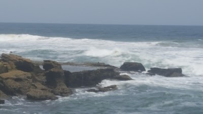 Photos of ATLANTIS BEACH BAR