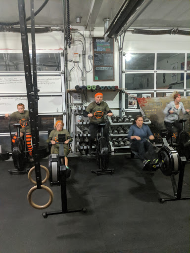 Bear Barbell - Visual